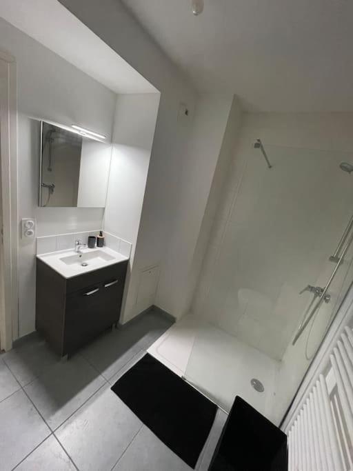 O Calme Cosy - Jardins Et - Experience Unique - Wifi Gratuit - Parking Gratuite Apartment Grenoble